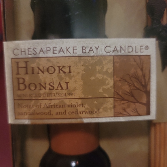 Mini Reed Diffuser - Picture 2 of 5